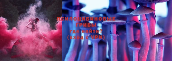 ALPHA-PVP Алексеевка