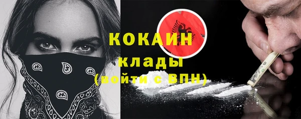 соль ск Алзамай