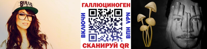 Псилоцибиновые грибы Cubensis  Прохладный 